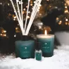 Bougie parfumée 90g Sapin, Edition limitée de Noël