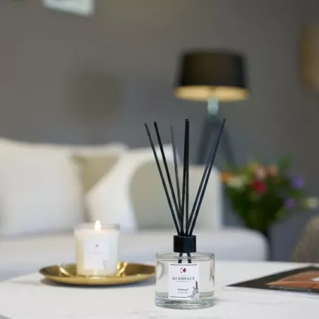 reed diffuser Patchouli