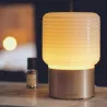 Brumisateur de parfum, diffuseur électrique