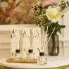 100ml Reed diffuseur, Sakura