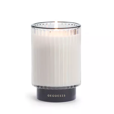 Prestige scented candle, 350g, Fig-tree