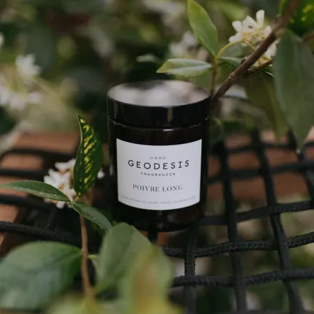 150g Ointment jar candle Long Pepper