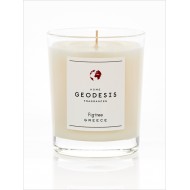 Scented candle Fig-tree