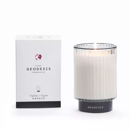 Prestige scented candle, 350g, Fig-tree