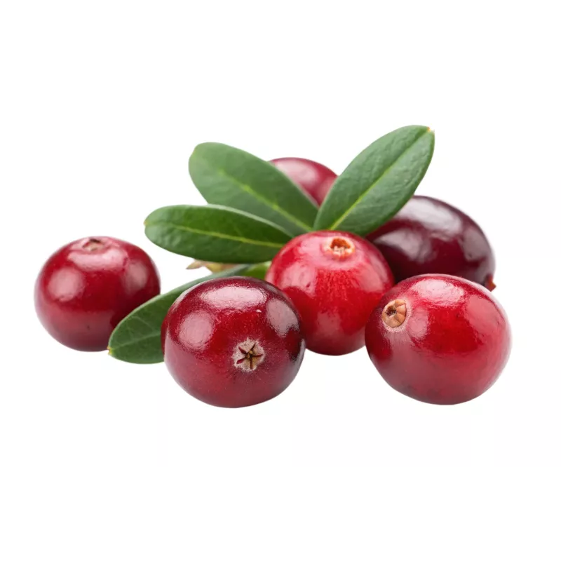 Cranberry
