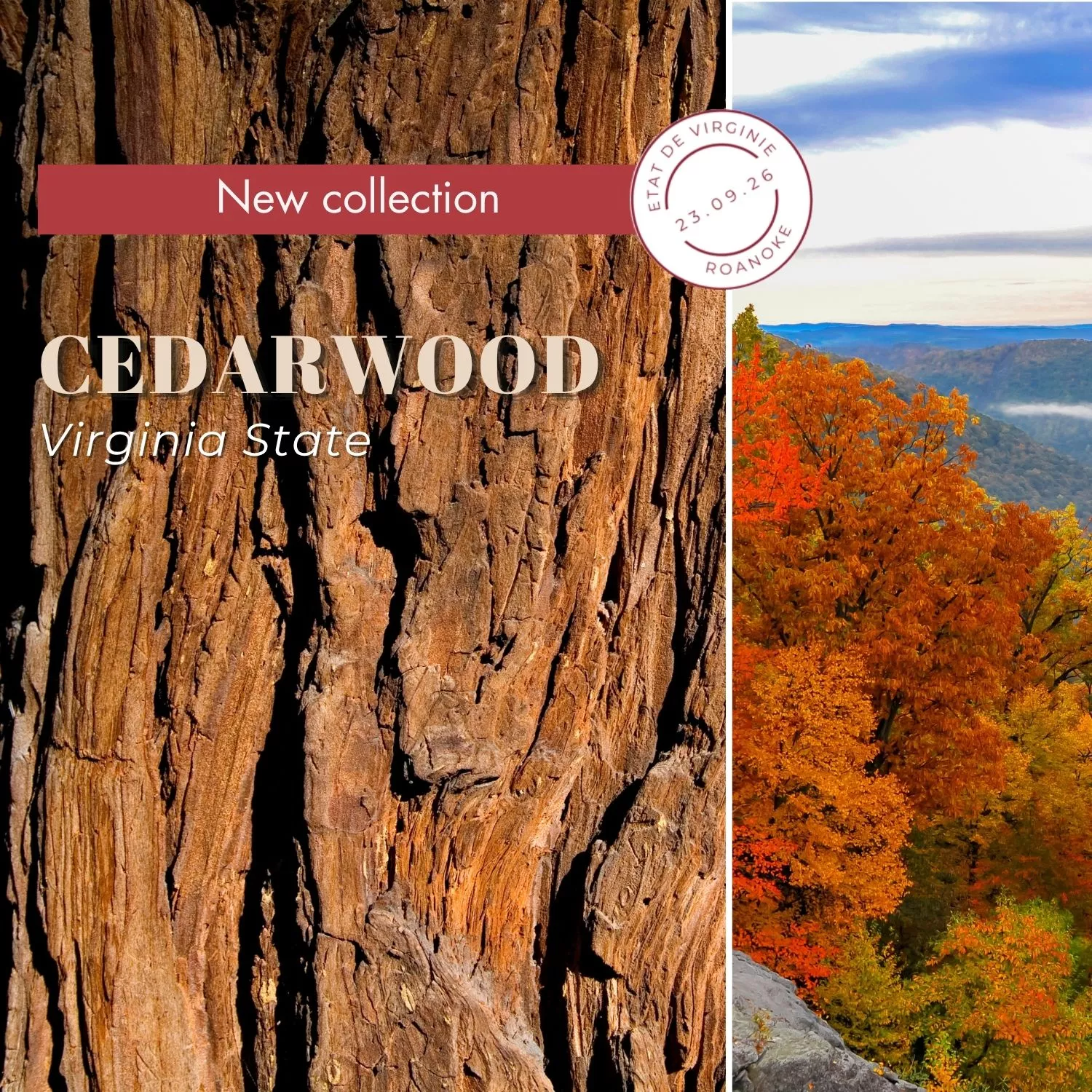 CEDARWOOD