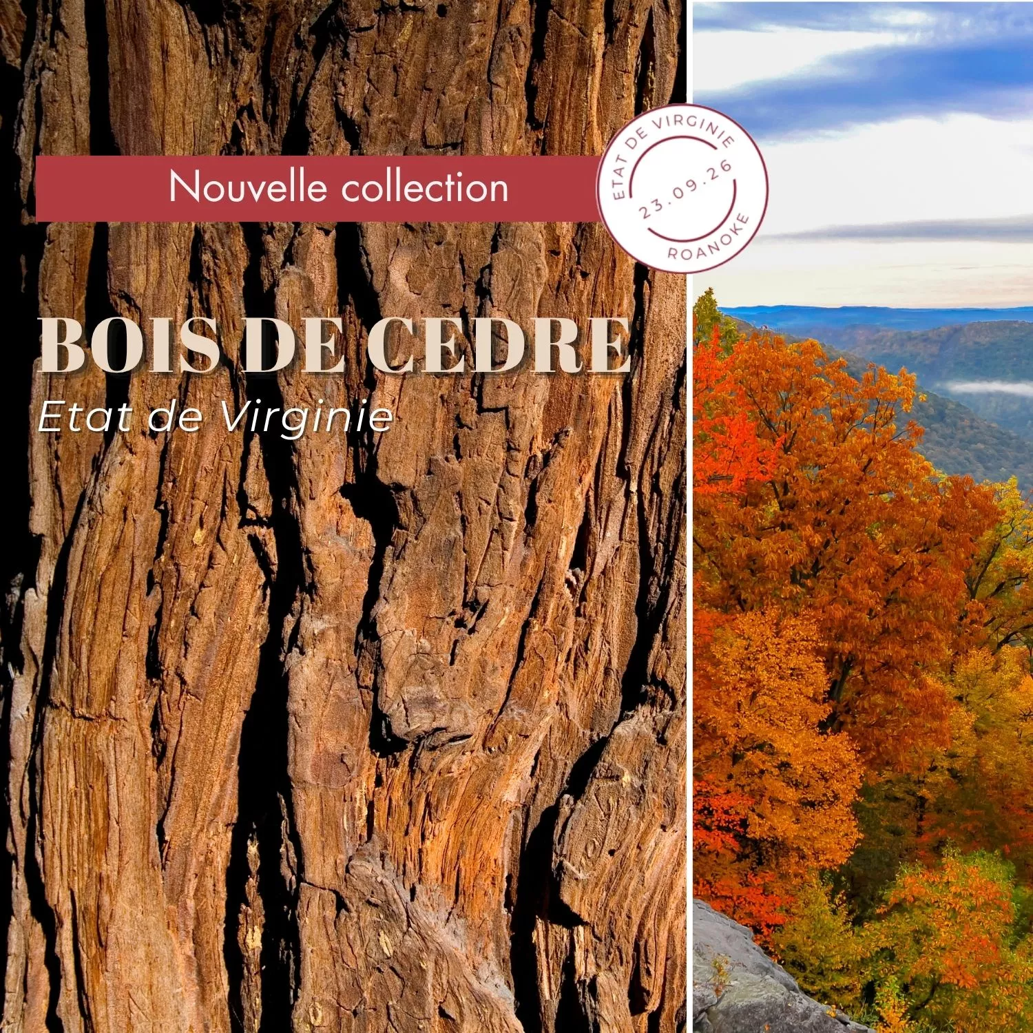 BOIS DE CEDRE