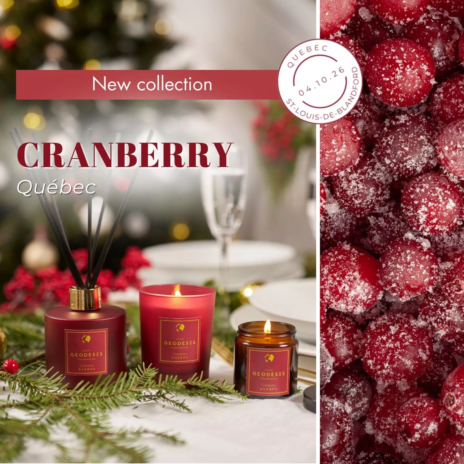 CRANBERRY - Christmas Limited edition