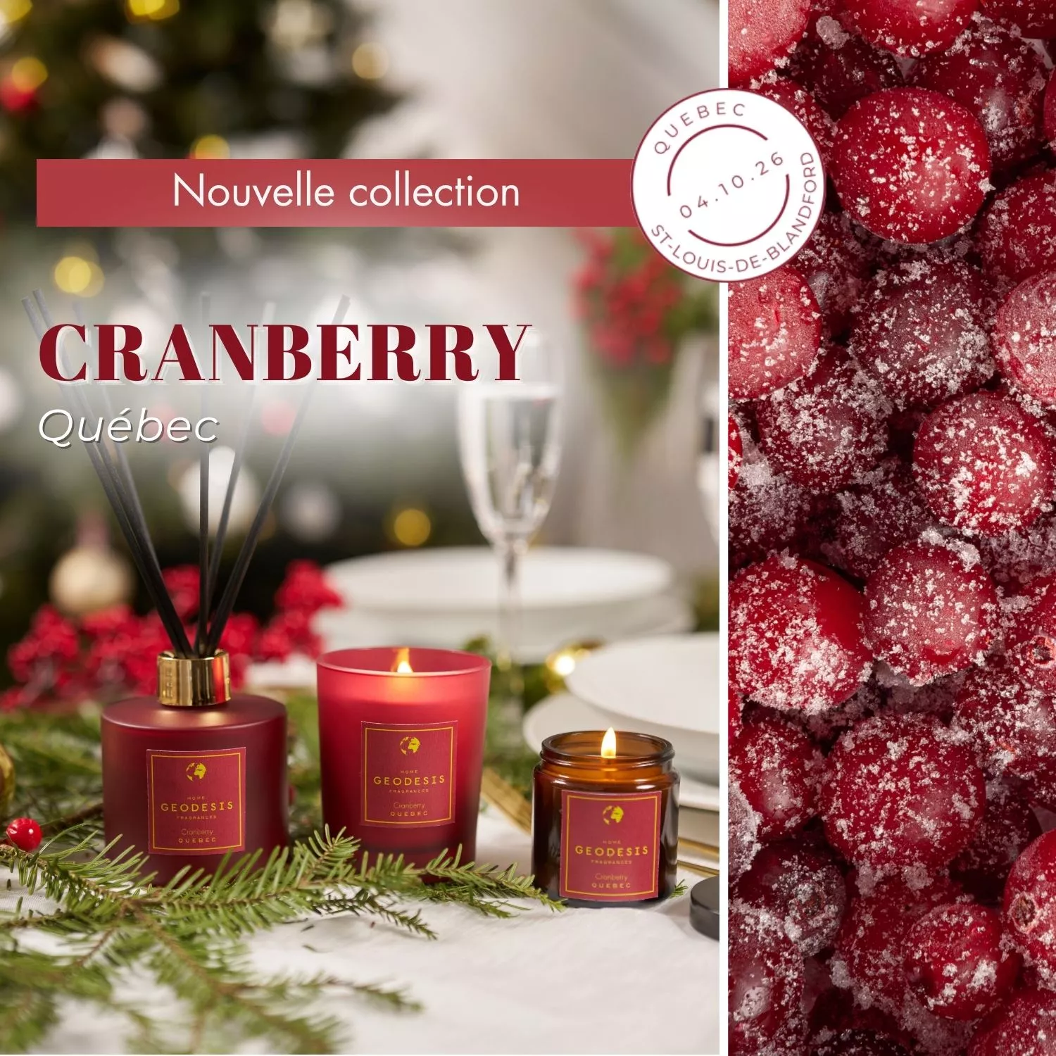 CRANBERRY - Edition limitée de Noël